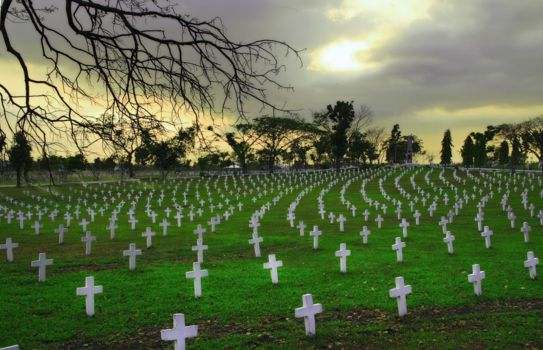 Chinese Cemetery