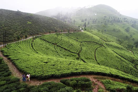 Darjeeling