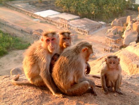India