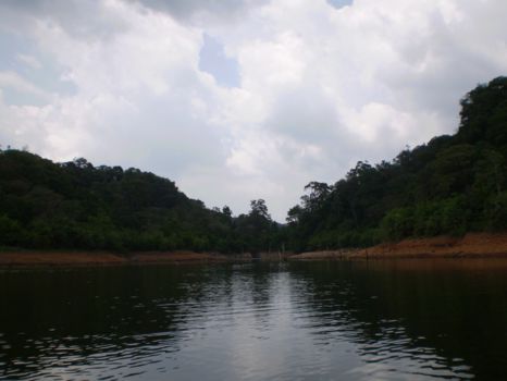 Periyar National Park