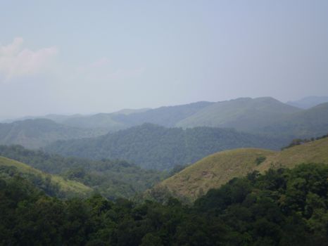 Periyar National Park