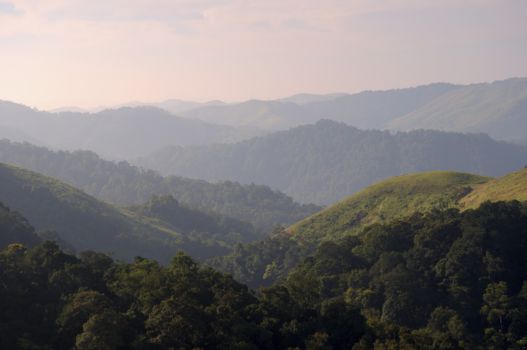 Periyar National Park
