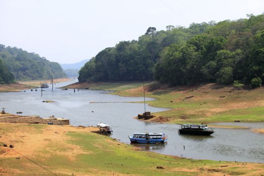 Periyar National Park