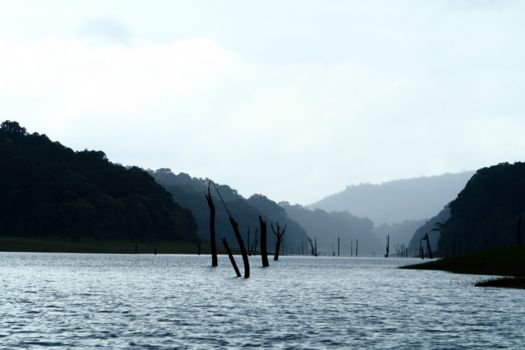 Periyar National Park