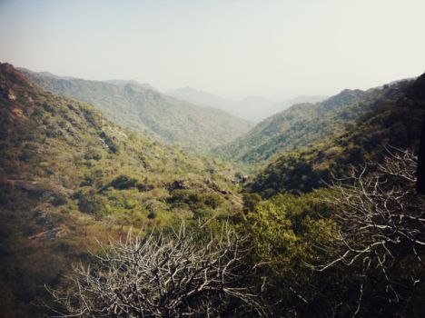 Mount Abu