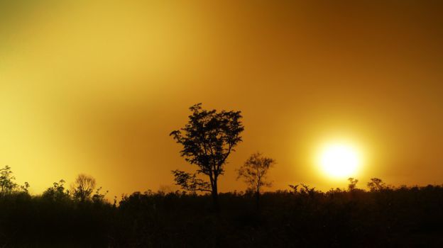 Jim Corbett National Park