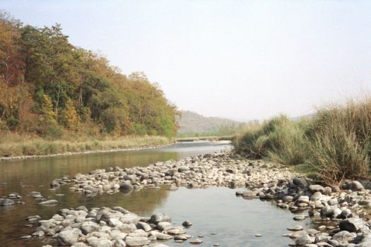 Jim Corbett National Park