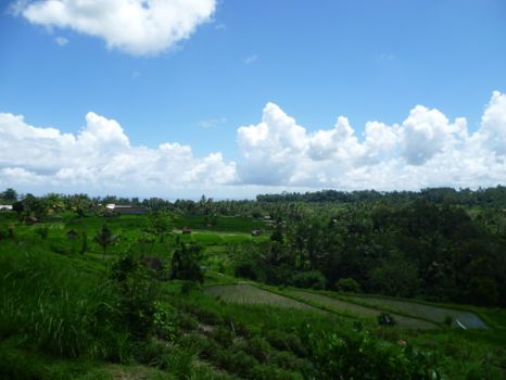 Bali