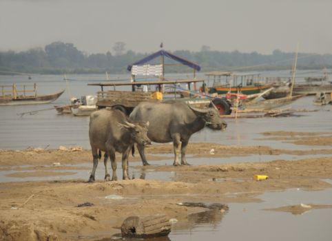Mekong