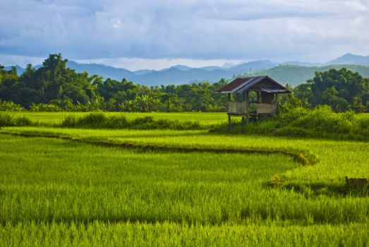 Laos