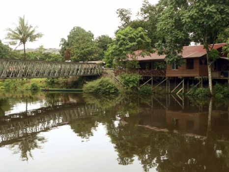 Gunung Mulu National Park