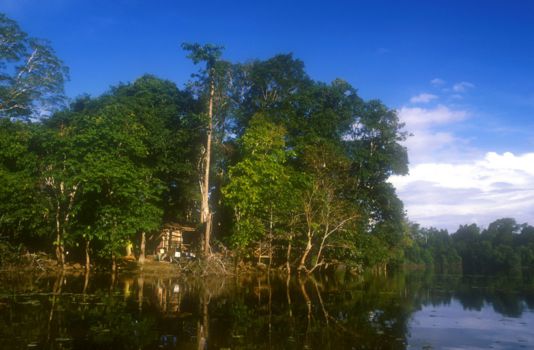 Kinabatangan rivier