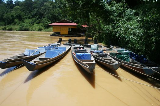 Taman Negara National Park