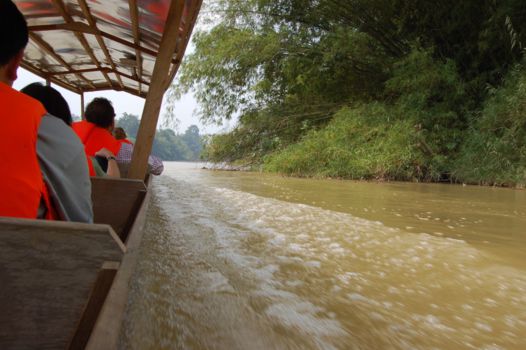 Taman Negara National Park