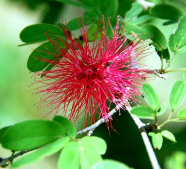Taman Negara National Park