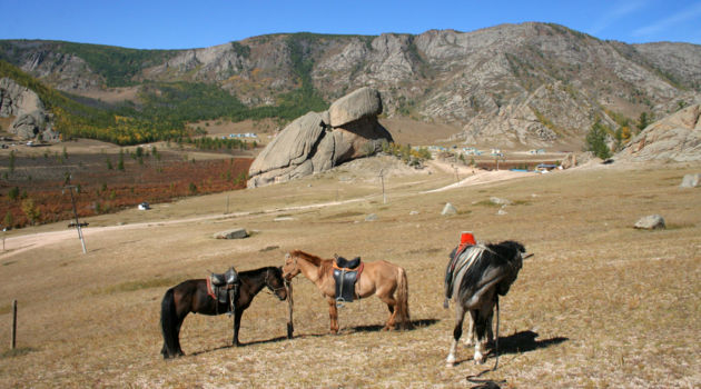 Gorkhi-Terelj National Park