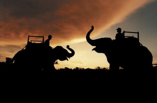 Chitwan National Park