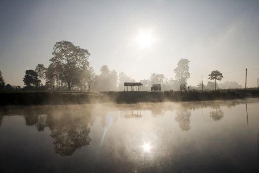 Chitwan National Park