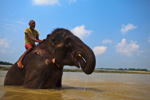 Chitwan National Park