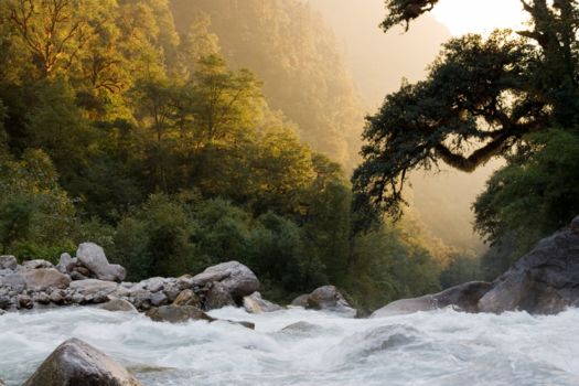 Langtang National Park