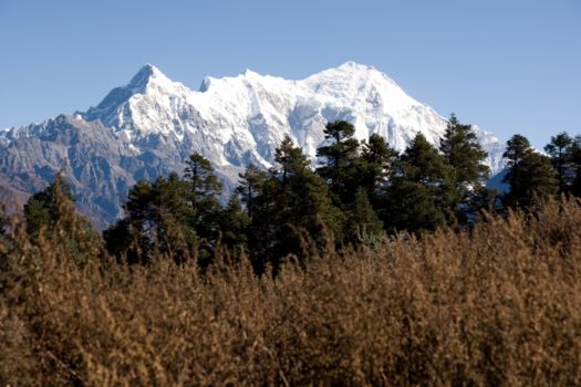 Langtang National Park