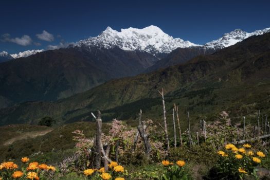 Langtang National Park