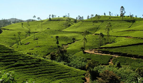 Sri Lanka