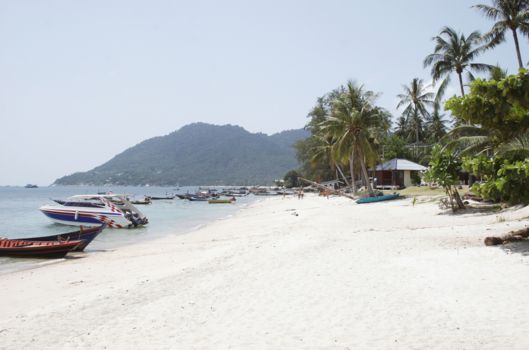Koh Tao