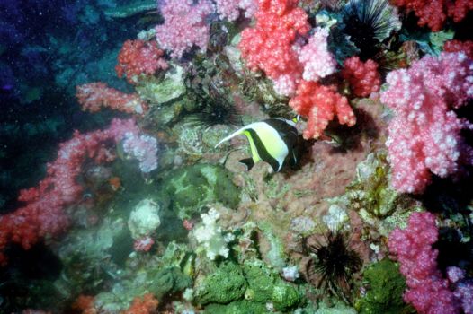 Tarutao National Marine Park