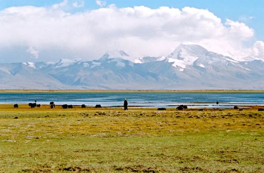 Tibet