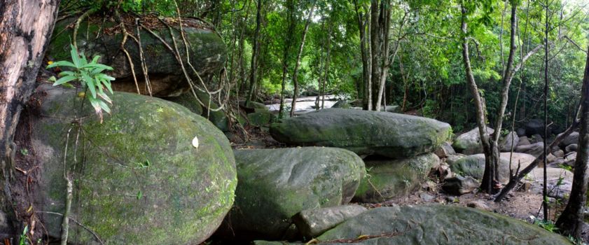 Phu Quoc National Park