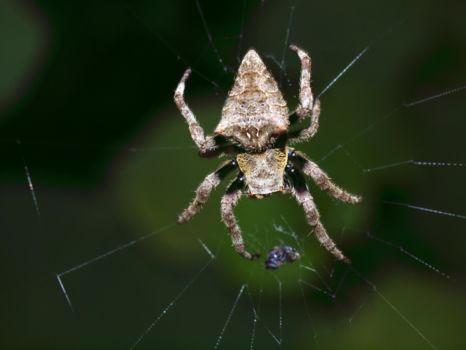 Phu Quoc National Park