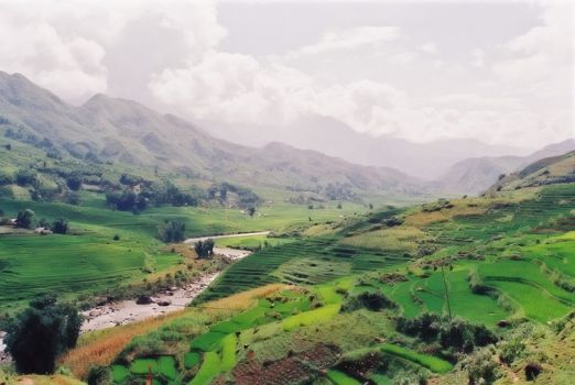 Vietnam