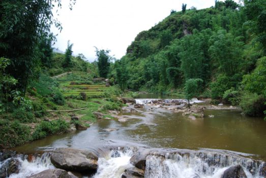 Bach Ma National Park