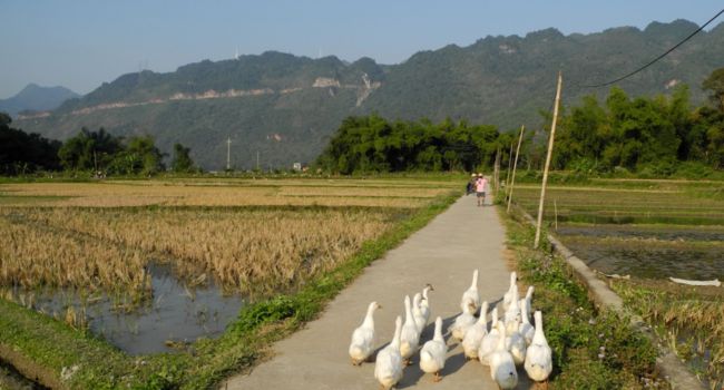 Mai Chau