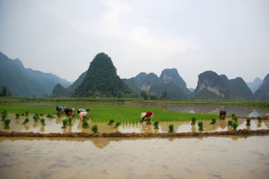 Vietnam