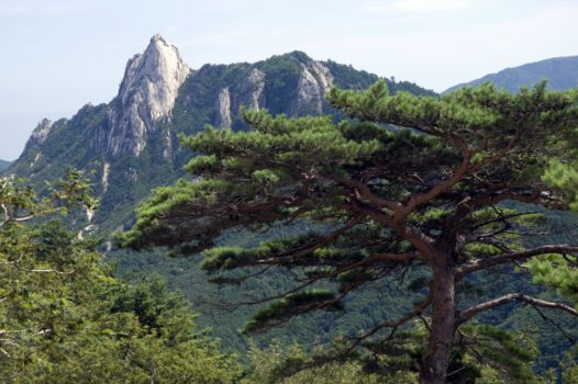 Seoraksan National Park
