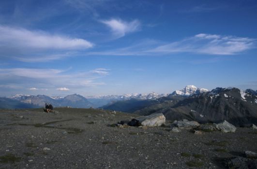 Jasper National Park