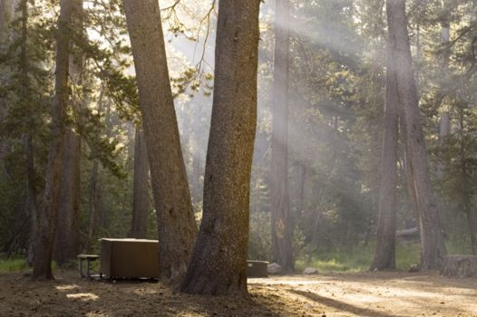 Yosemite National Park