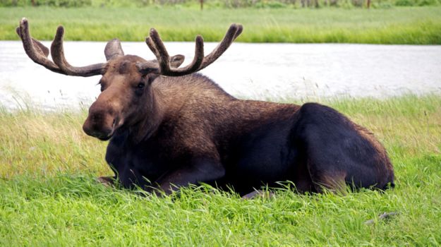 Acadia National Park