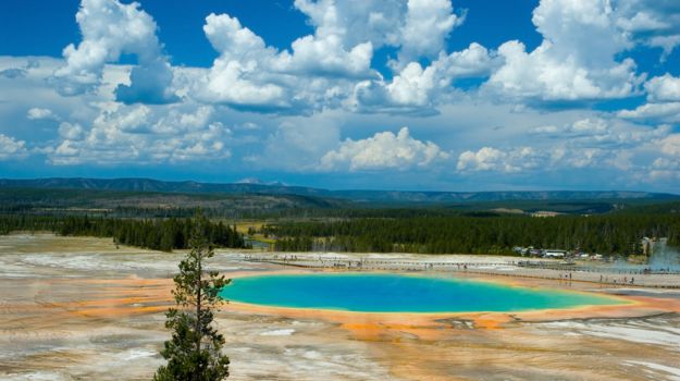 Yellowstone National Park