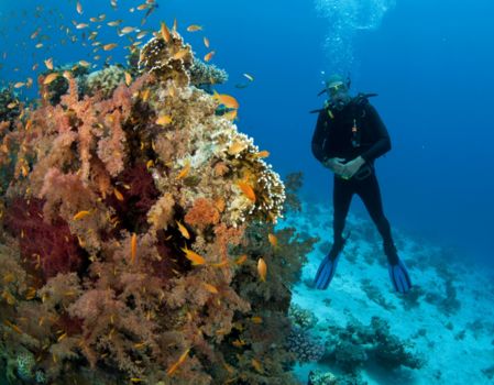 Hol Chan en Blue Hole