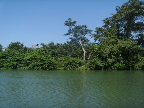 Hopkins en Sittee River