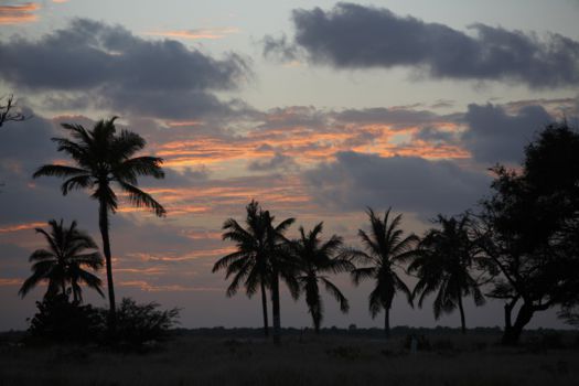 Bonaire