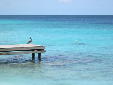 Bonaire