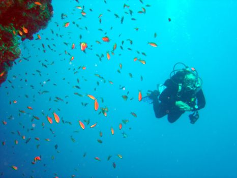 Bonaire