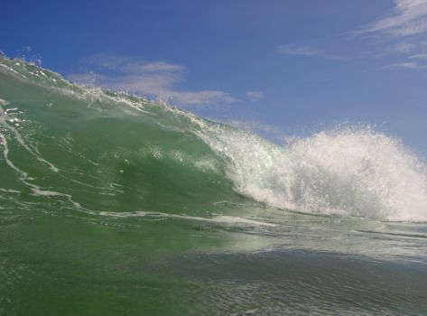 Puerto Viejo de Talamanca