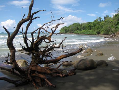 Corcovado National Park