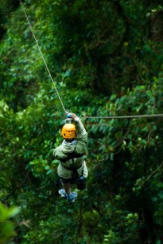 Monteverde Cloud Forest Reserve