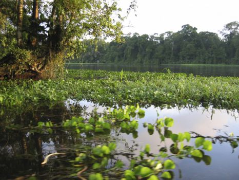 Tortuguero National Park